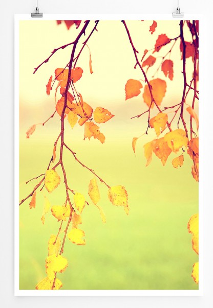 90x60cm Poster Naturfotografie Herbstblätter in der Sonne
