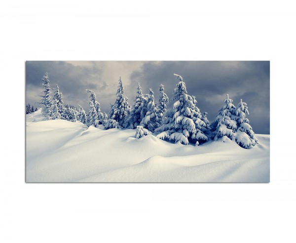 120x80cm Winterlandschaft Schneedecke Bäume