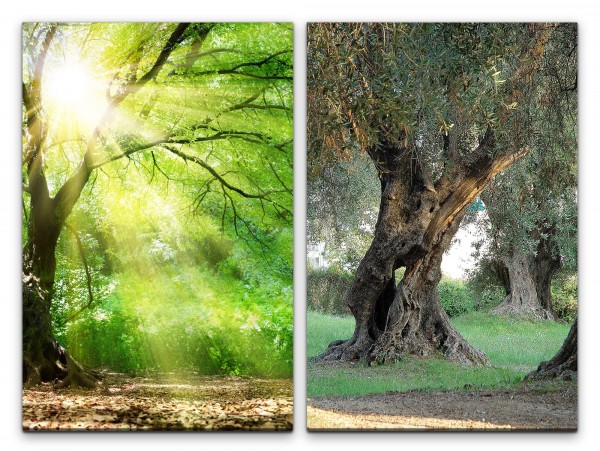 2 Bilder je 60x90cm Wald Sonnenstrahlen alter Baum Himmlisch warmes Licht Baumkrone Besinnlich