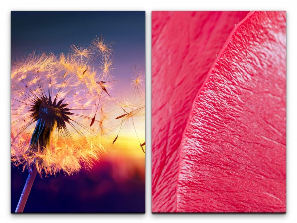 2 Bilder je 60x90cm Pusteblume Blüte Sommer Sonnenuntergang Abendröte Wärme Saft