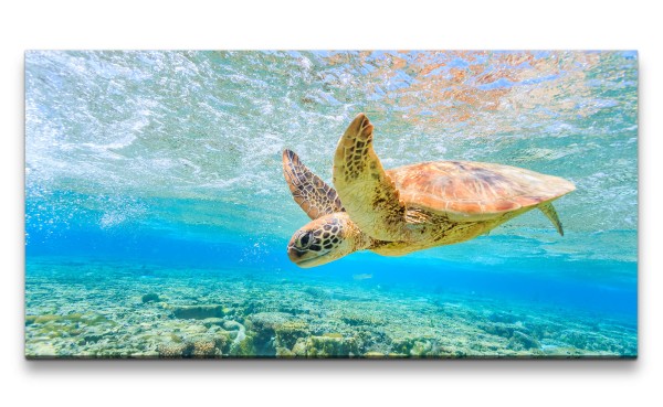 Leinwandbild 120x60cm Seeschildkröte unter Wasser Meer Tauchen Ozean