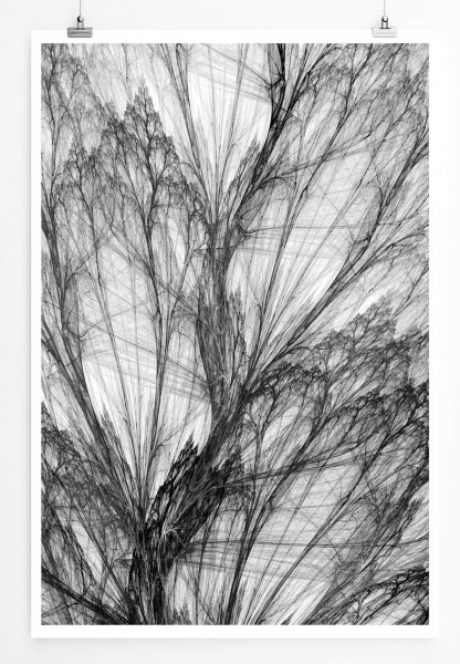 Abstrakte feine Baumlinien schwarz weiß