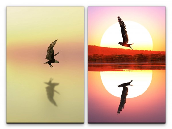 2 Bilder je 60x90cm Freiheit Sonne Vögel Adler Weißkopfseeadler Sonnenuntergang Harmonie