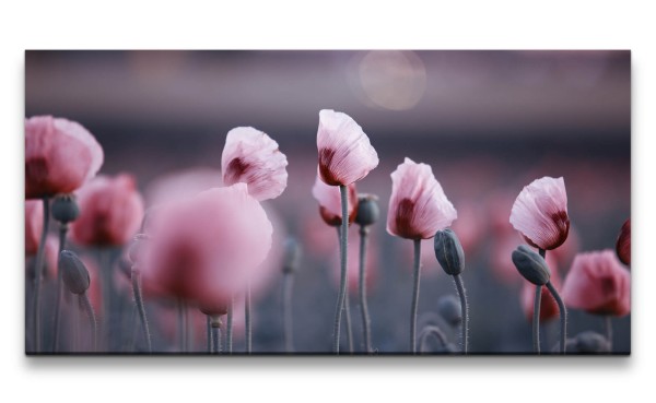 Leinwandbild 120x60cm Mohnblumen Wildblumen Feldblumen rosa Blüten Schön