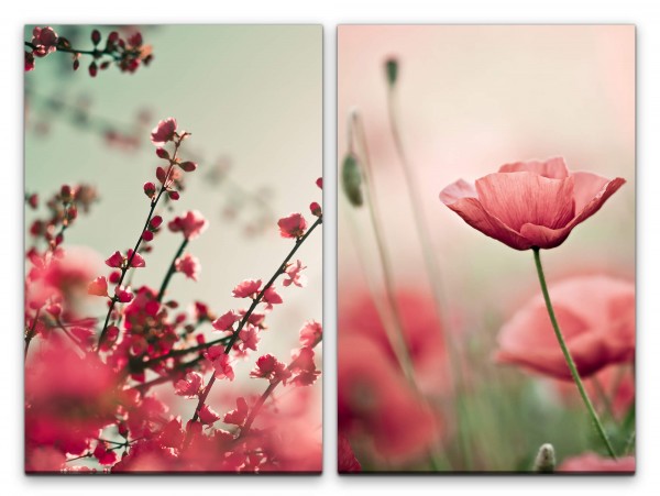 2 Bilder je 60x90cm Mohnblume Kirschblüten Kirschbaum Frühling Blumen Blüten Fotokunst