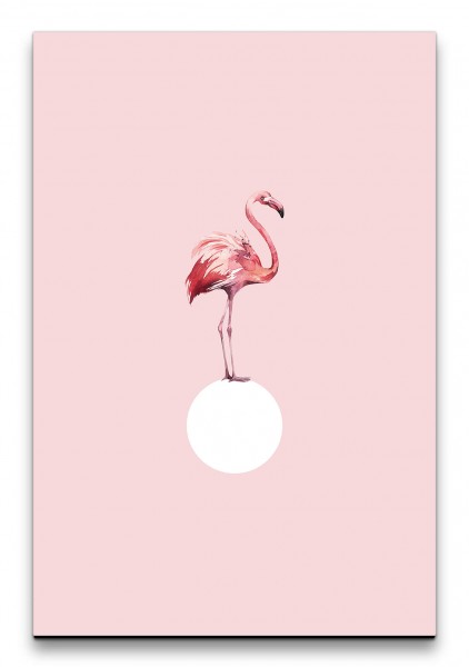 Flamingo Rosa Wasserfarben Aquarell Dekorativ Schön