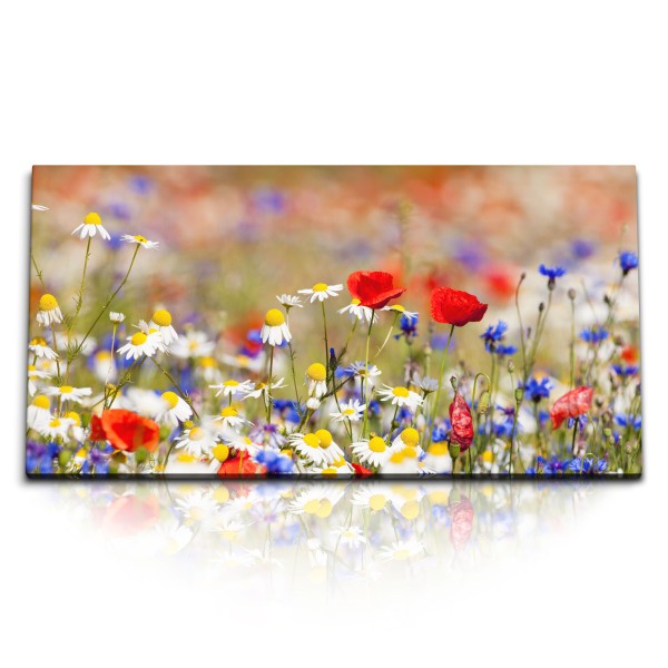 Kunstdruck Bilder 120x60cm Sommerwiese Blumenwiese Wildblumen Sommer