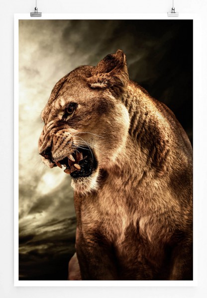 60x90cm Tierfotografie Poster Brüllende Löwin vor grauem Himmel
