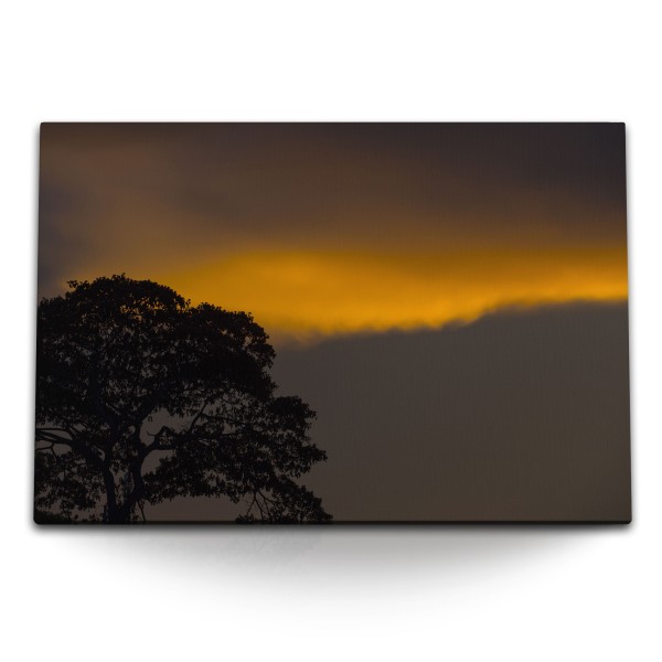 120x80cm Wandbild auf Leinwand Abenddämmerung Baum Nacht Sonnenuntergang Natur