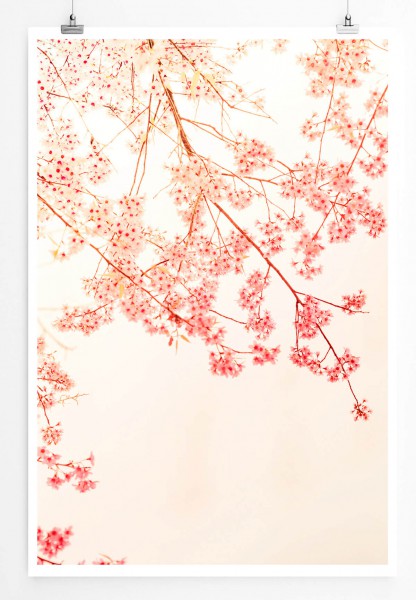 Illustration  Sakura Blüten vor zartem Hintergrund 60x90cm Poster