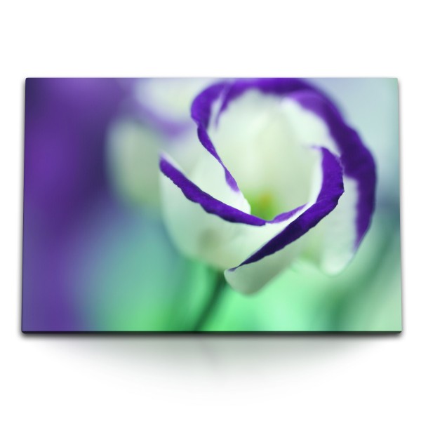 120x80cm Wandbild auf Leinwand Blume Blüte Weiß Violett Fotokunst Makrofotografie