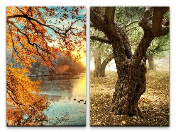 2 Bilder je 60x90cm See Weiher Herbst alter Baum Sonnenuntergang Natur Heilsam
