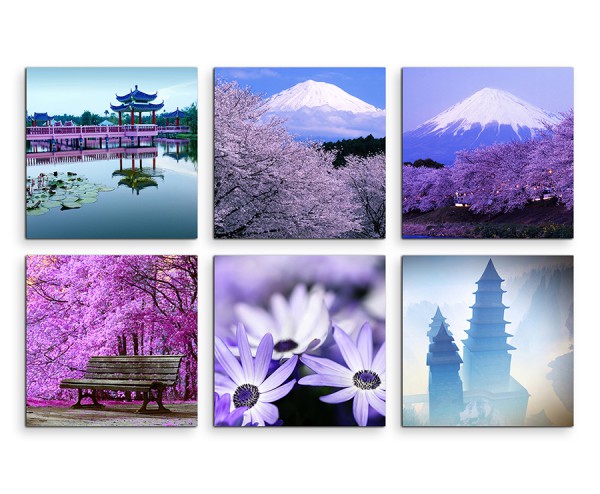 6 teiliges Leinwandbild je 30x30cm - Lavendel Blumen Makroaufnahme Fuij Japan