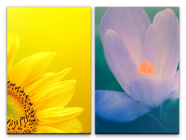 2 Bilder je 60x90cm Sonnenblume Gelb Blumen Blüten Türkis Nahaufnahme Sommerlich