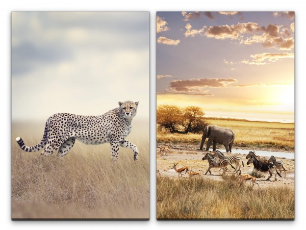 2 Bilder je 60x90cm Gepard Afrika Elefant Zebras Tiere Safari Wildnis