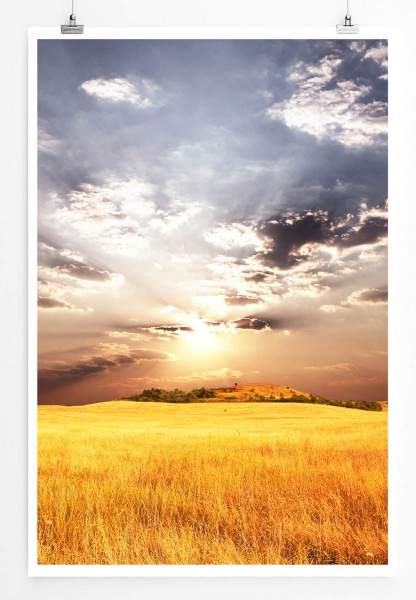 60x90cm Landschaftsfotografie Poster Weizenfeld bei Mittagssonne