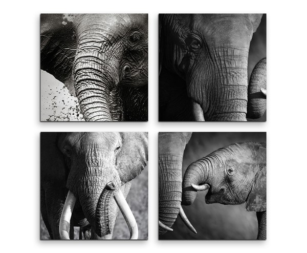 4 teiliges Leinwandbild je 30x30cm - Elefant Baby Makroaufnahme Familie