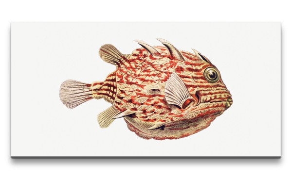 Remaster 120x60cm Exotischer Fisch Kugelfisch Illustration Dekorativ Kunstvoll