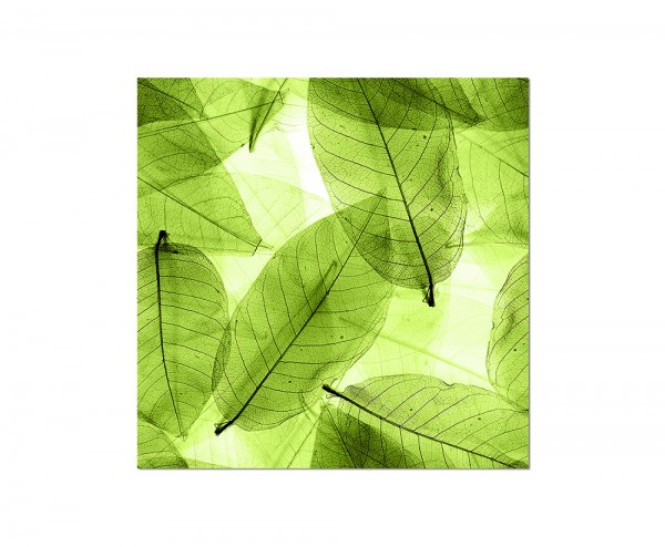 80x80cm Blätter Pflanze Hintergrund grün makro