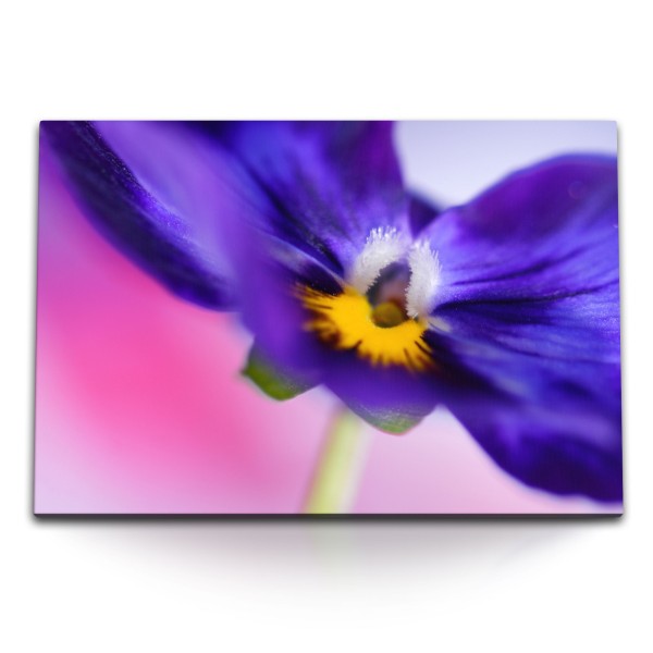 120x80cm Wandbild auf Leinwand Blume Blüte Violett Makroaufnahme Fotokunst