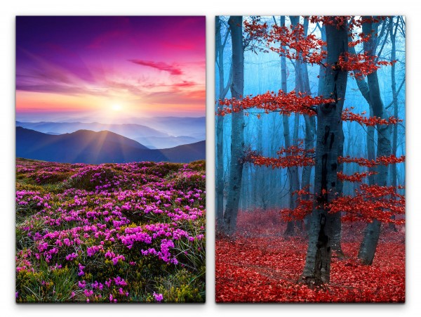 2 Bilder je 60x90cm Bergwiese Bergblumen Berge Wald rote Blätter Sonnenuntergang Laub
