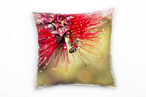 Macro, Tiere, Blumen, Biene, rot, grün Deko Kissen 40x40cm für Couch Sofa Lounge Zierkissen