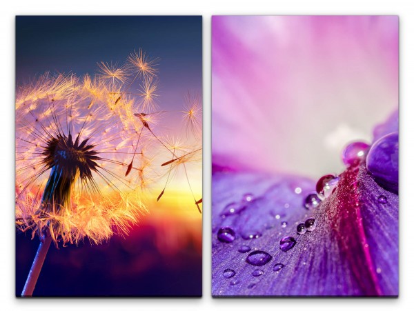 2 Bilder je 60x90cm Pusteblume Sonnenstrahlen Regentropfen Blüten Sommer Warm Dekorativ