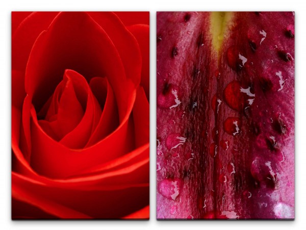 2 Bilder je 60x90cm Rose Rot Blumen Regentropfen Dekorativ Fotokunst Makrofotografie