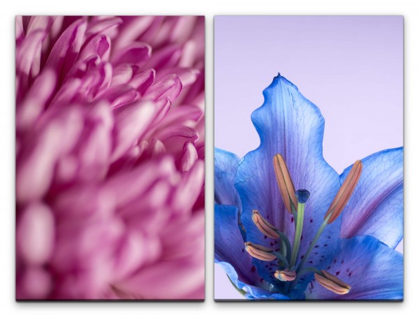 2 Bilder je 60x90cm Blumen Blüten Sommer Dekorativ Duftend Weich Makrofotografie