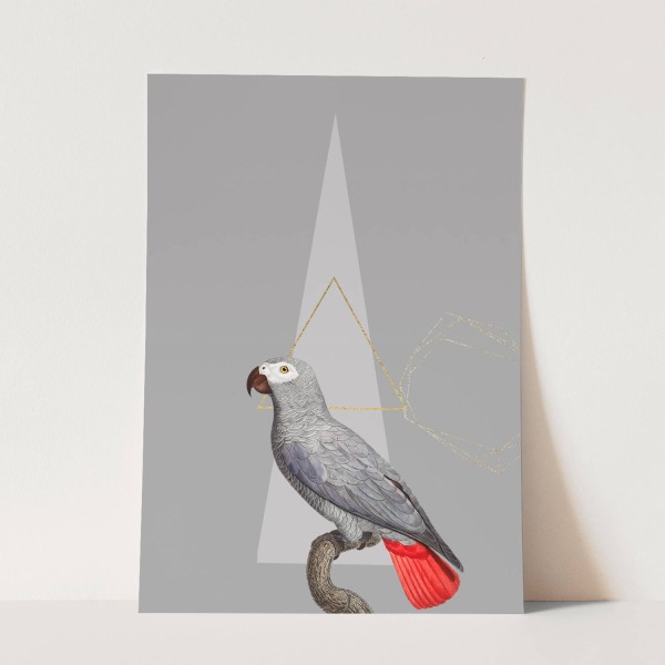 Vogel Motiv grauer Papagei einzigartiges Design Gold Dreieck