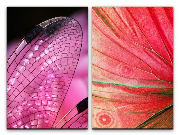 2 Bilder je 60x90cm Libelle Schmetterling Flügel Rosa Rot Dekorativ Makrofotografie