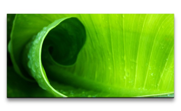 Leinwandbild 120x60cm Grünes Blatt Kunstvoll Morgentau Nahaufnahme Makro