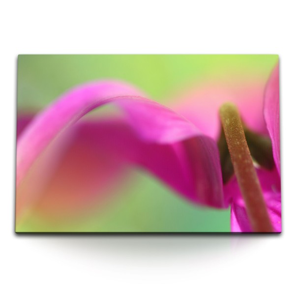 120x80cm Wandbild auf Leinwand Makrofotografie Blume Exotisch Rosa Grün