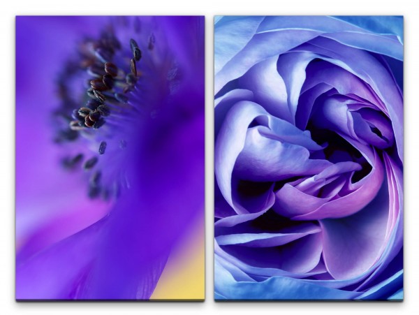 2 Bilder je 60x90cm Blumen Blüten Blau Rose Seide Sanft Feminin