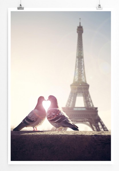 60x90cm Poster Fotografie  Turteltauben vor dem Eiffelturm Paris