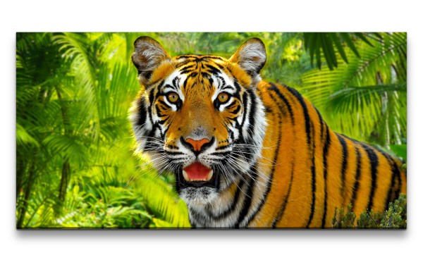 Leinwandbild 120x60cm Wilder Tiger Raubkatze Dschungel Wildnis Indien