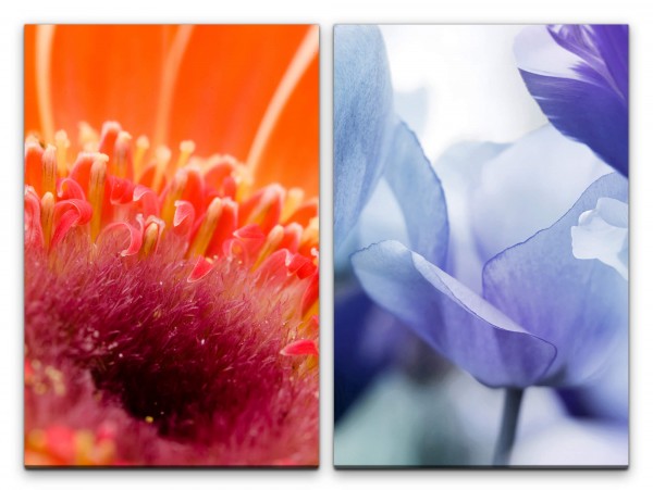 2 Bilder je 60x90cm Tulpen Blumen Rot Blau Sommer Warm Dekorativ
