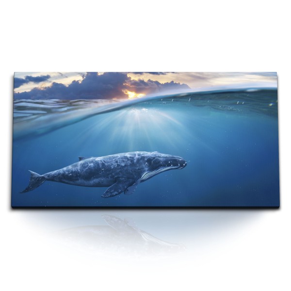 Kunstdruck Bilder 120x60cm Grauwal Wal unter Wasser Blau Ozean Sonnenuntergang