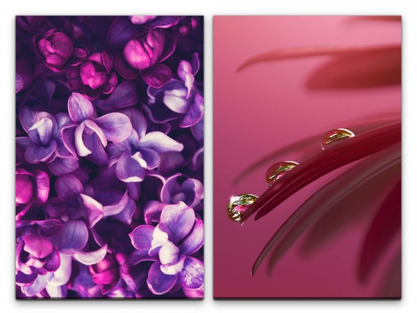 2 Bilder je 60x90cm Orchideen Blüten Wassertropfen Blumen Dekorativ Fotokunst Feminin