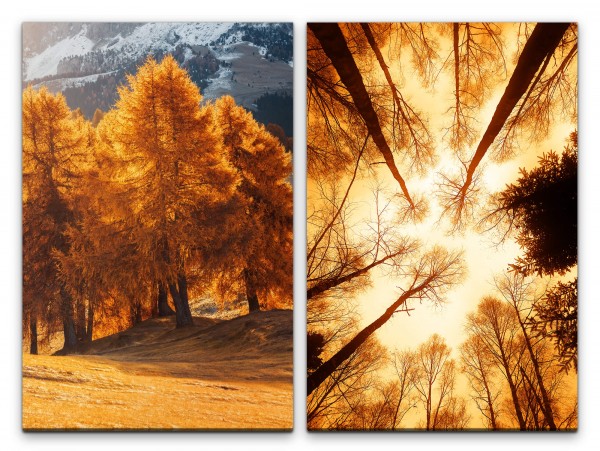 2 Bilder je 60x90cm Wald Baumkronen Bäume Herbstkleid warmes Licht Natur Beruhigend