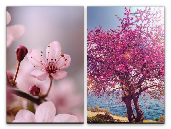2 Bilder je 60x90cm Frühling Baumblüten Mittelmeer Sonnenschein Dekorativ Entspannend Warm