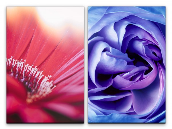 2 Bilder je 60x90cm Blumen Blüten Rose Sommer Weich Dekorativ Fotokunst
