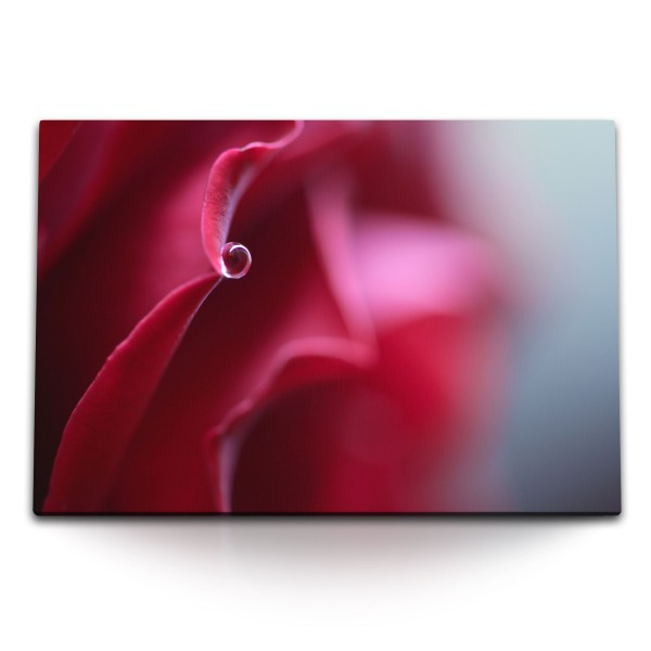 120x80cm Wandbild auf Leinwand Rote Blüte Rose Makrofotografie Rot Wassertropfen