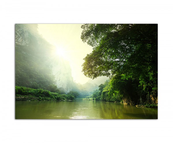 120x80cm Laos Fluss Wald Bäume Natur