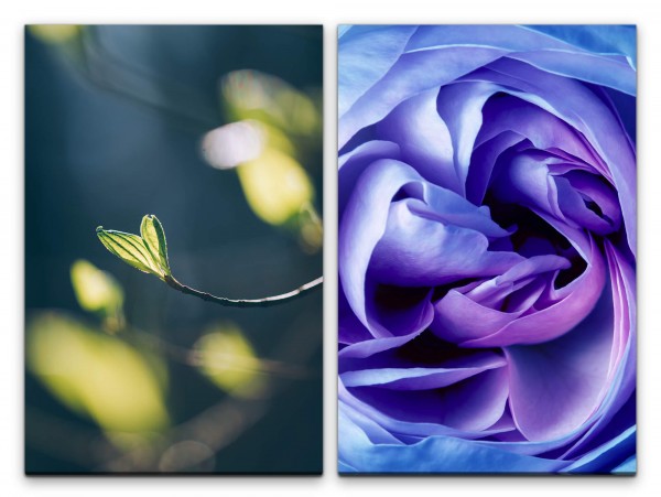 2 Bilder je 60x90cm Zweig Frühling Rose Blüten Dekorativ Kunstvoll Makrofotografie
