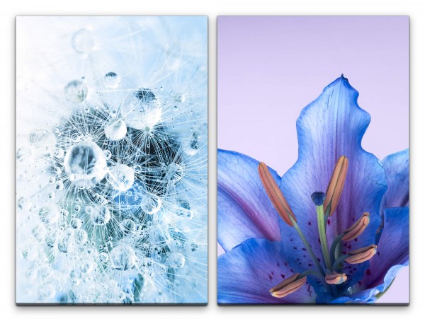 2 Bilder je 60x90cm Pusteblume Blume blaue Blüte Regentropfen Wassertropfen Zart Makrofotografie