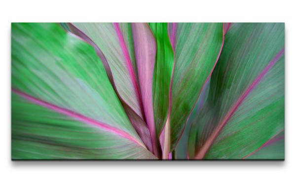 Leinwandbild 120x60cm Pflanze Grün Nahaufnahme Dekorativ Schön Blätter
