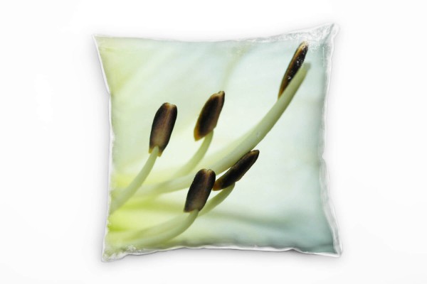 Natur, Macro, Blumen, grün, weiß, braun, Unschärfe Deko Kissen 40x40cm für Couch Sofa Lounge Zierkis
