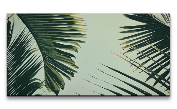 Leinwandbild 120x60cm Kentia-Palme Grüne Blätter Palme Kunstvoll Dekorativ