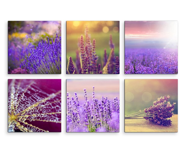 6 teiliges Leinwandbild je 30x30cm - Lavendel Blumen Spinnennetz Sonne